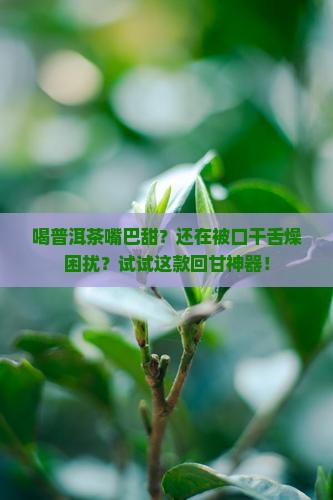喝普洱茶嘴巴甜？还在被口干舌燥困扰？试试这款回甘神器！