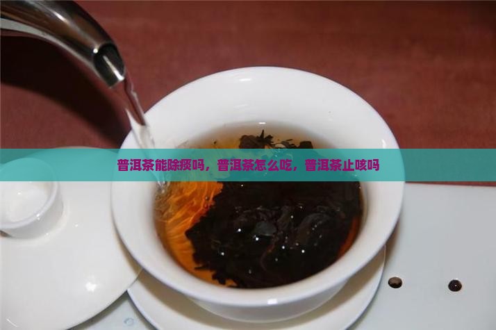普洱茶能除痰吗