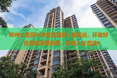 郴州七里洞小学范围租房